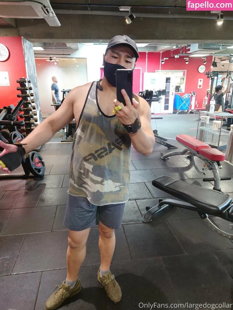 largedogcollar Onlyfans Photo Gallery 