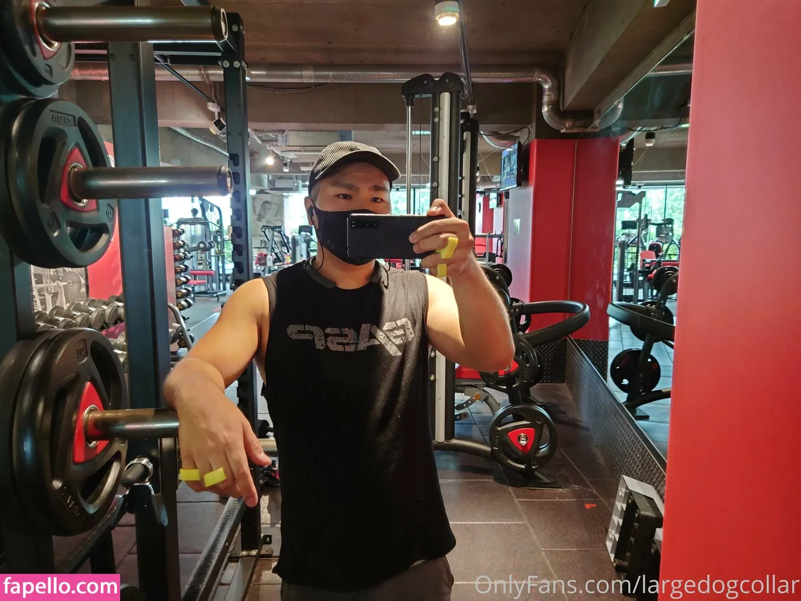 largedogcollar Onlyfans Photo Gallery 