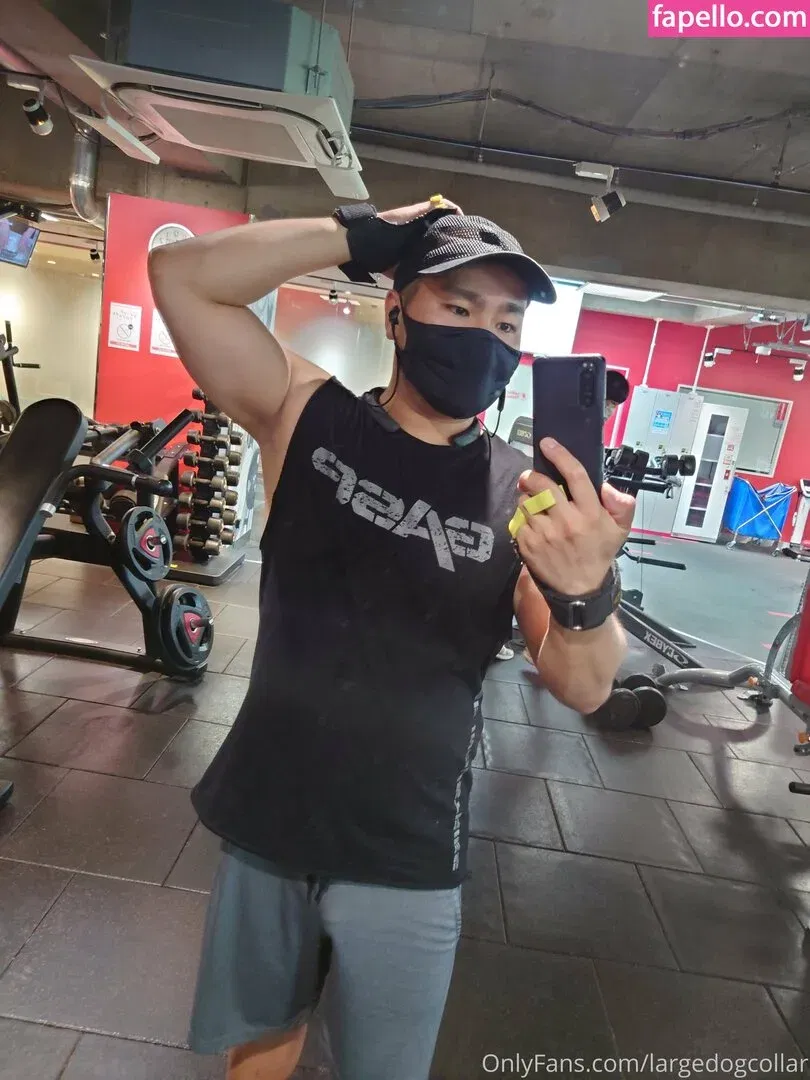 largedogcollar Onlyfans Photo Gallery 