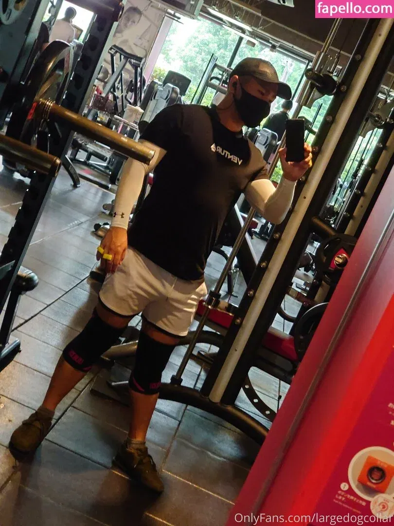 largedogcollar Onlyfans Photo Gallery 