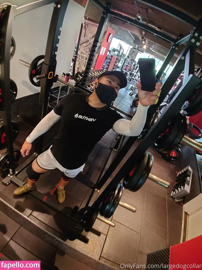 largedogcollar Onlyfans Photo Gallery 