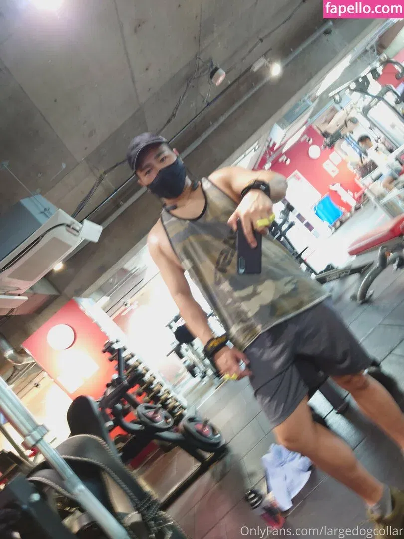 largedogcollar Onlyfans Photo Gallery 