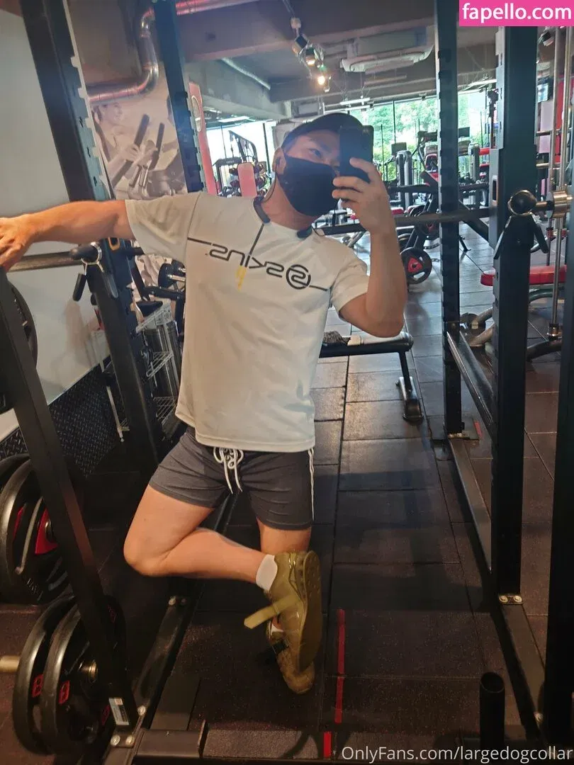 largedogcollar Onlyfans Photo Gallery 