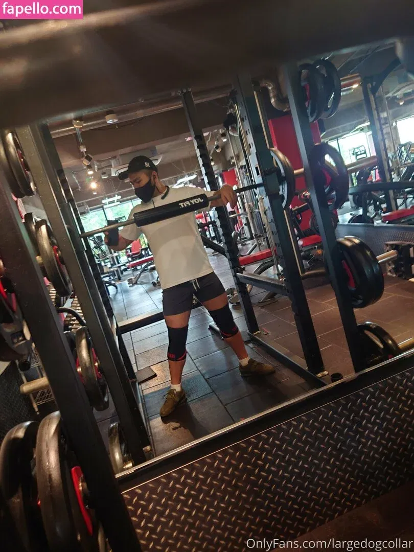 largedogcollar Onlyfans Photo Gallery 