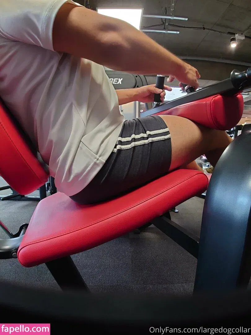 largedogcollar Onlyfans Photo Gallery 