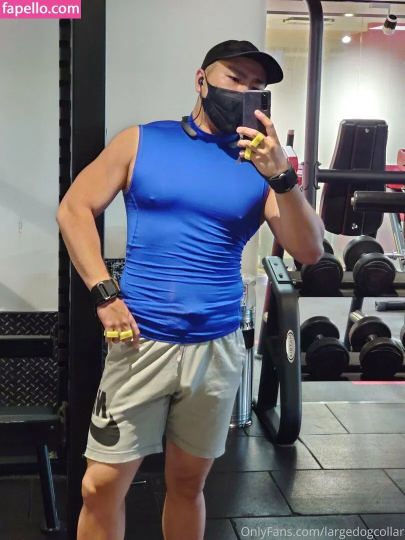 largedogcollar Onlyfans Photo Gallery 