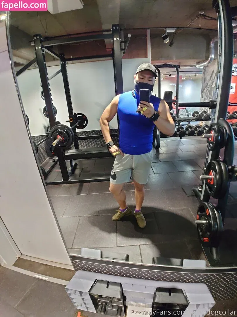 largedogcollar Onlyfans Photo Gallery 