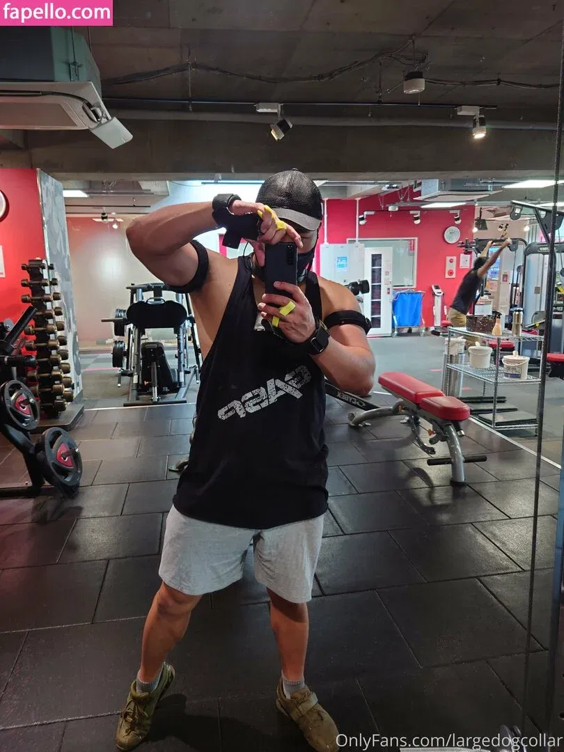 largedogcollar Onlyfans Photo Gallery 