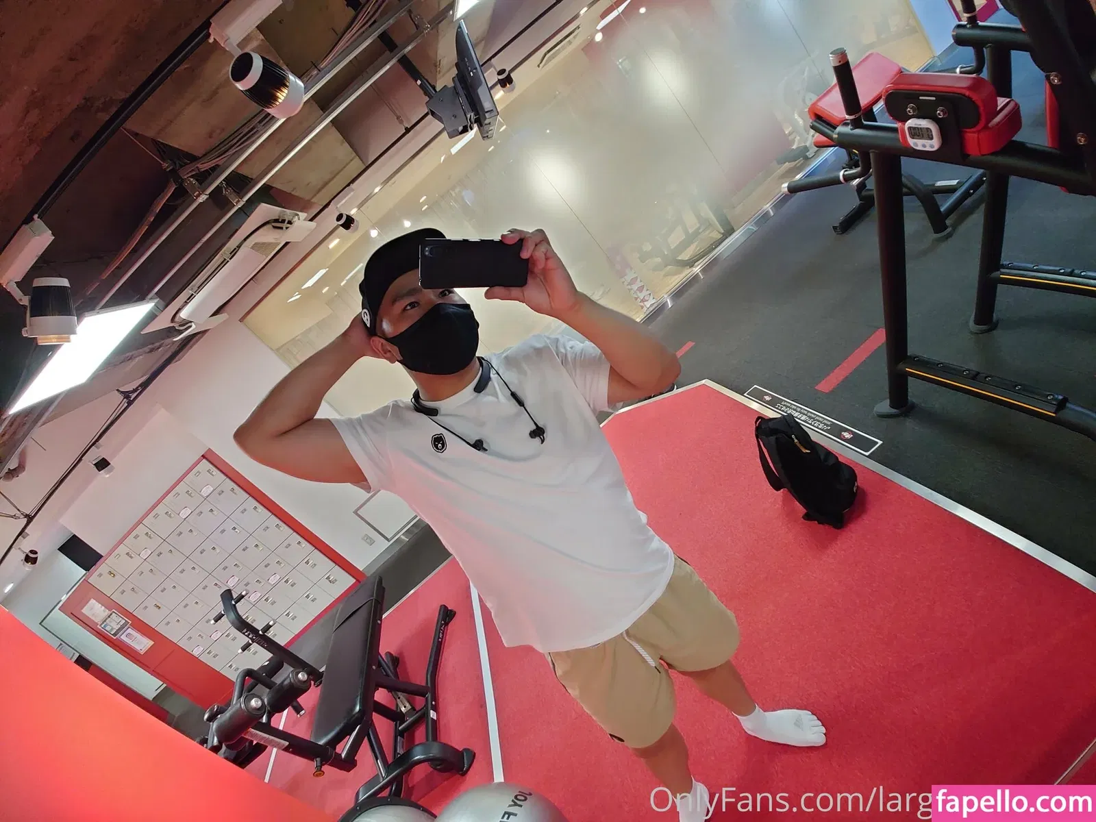 largedogcollar Onlyfans Photo Gallery 