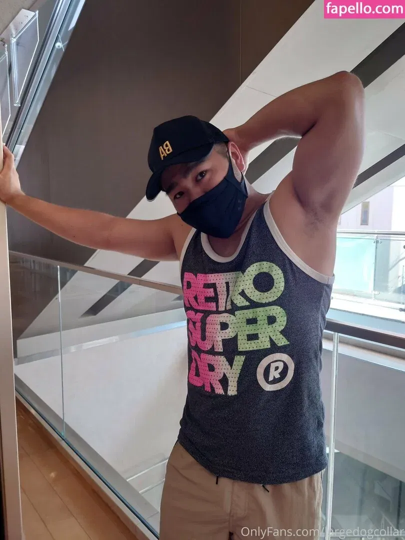 largedogcollar Onlyfans Photo Gallery 