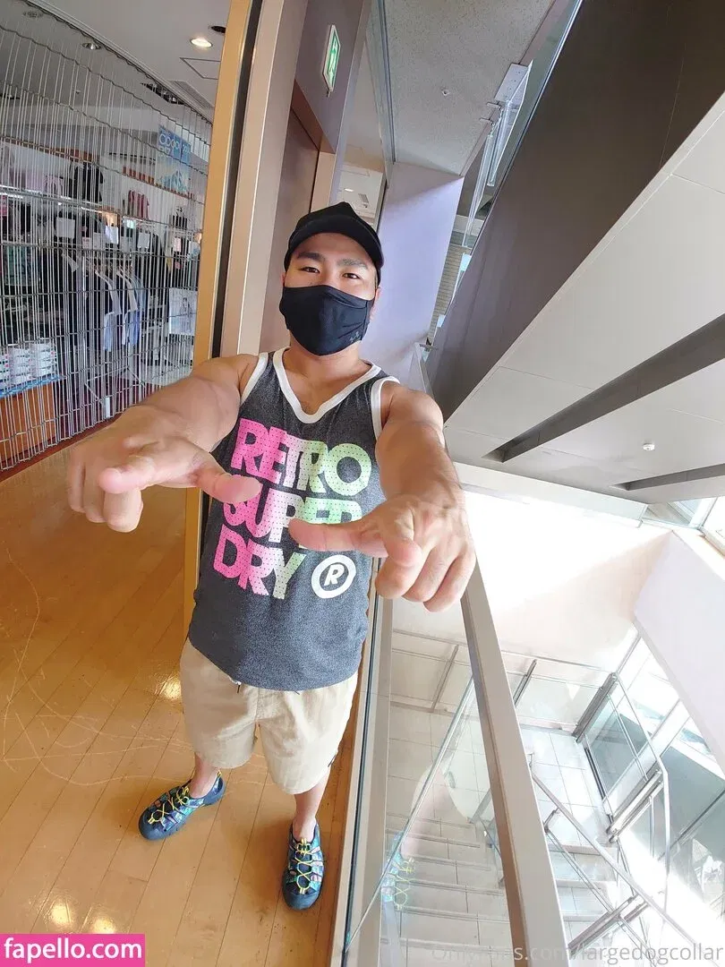 largedogcollar Onlyfans Photo Gallery 