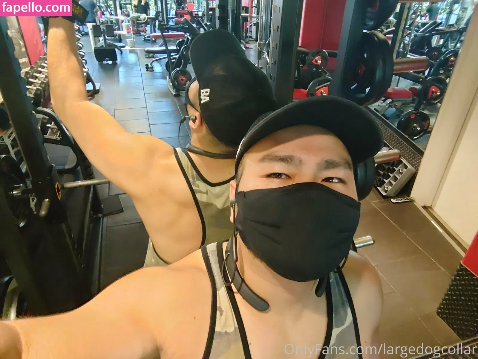 largedogcollar Onlyfans Photo Gallery 