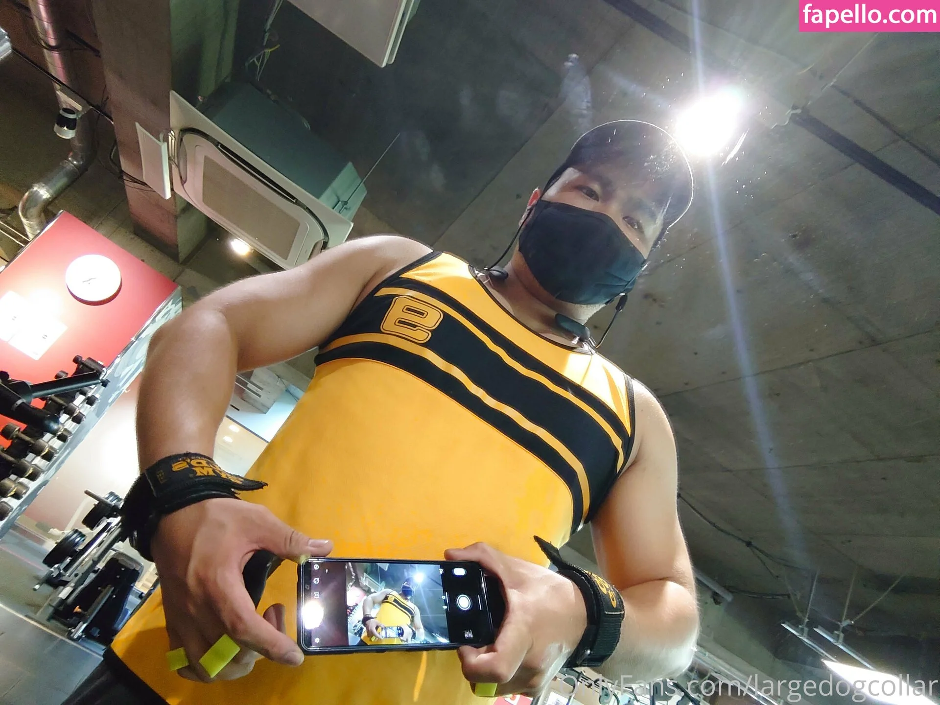 largedogcollar Onlyfans Photo Gallery 