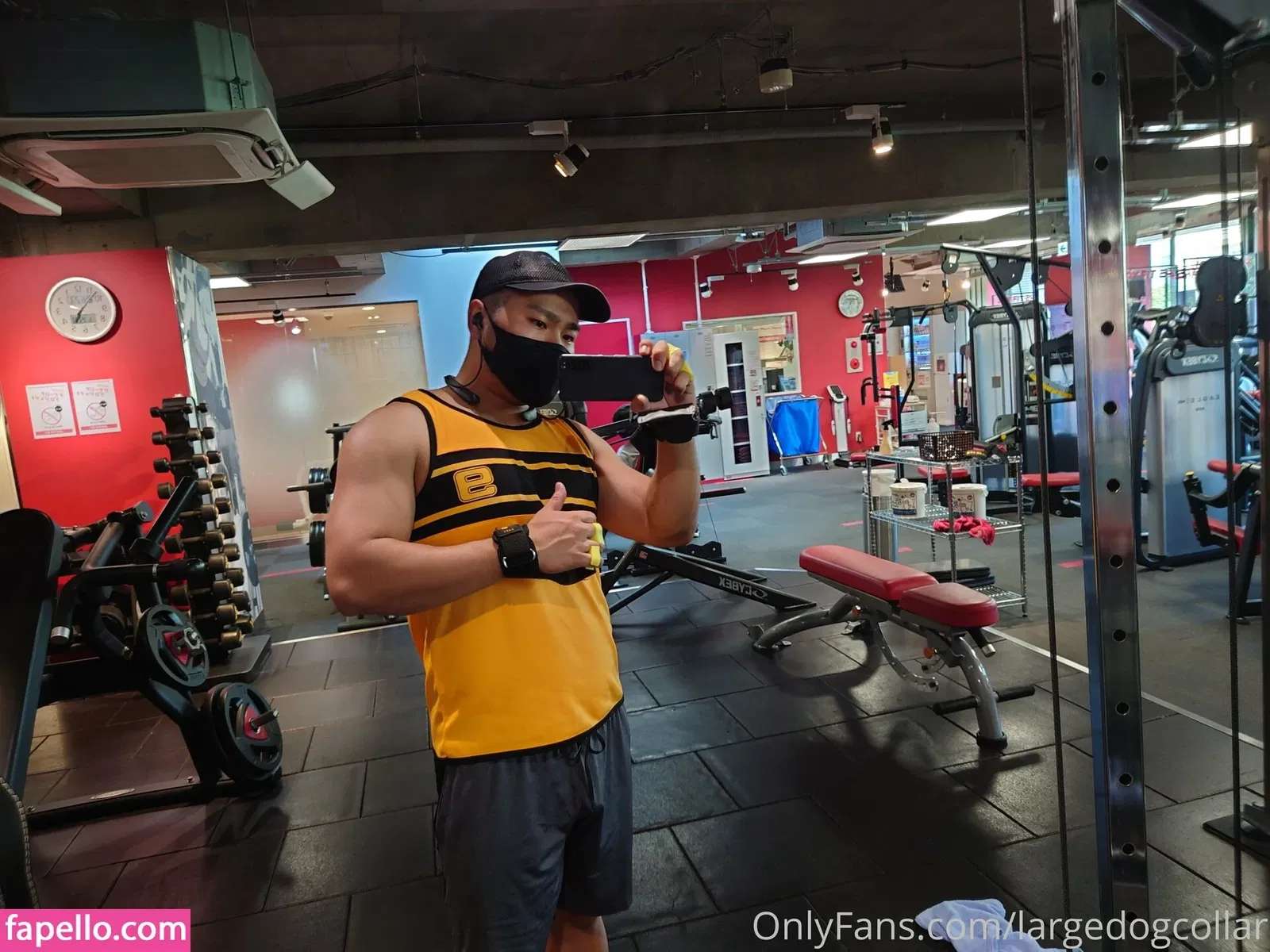 largedogcollar Onlyfans Photo Gallery 