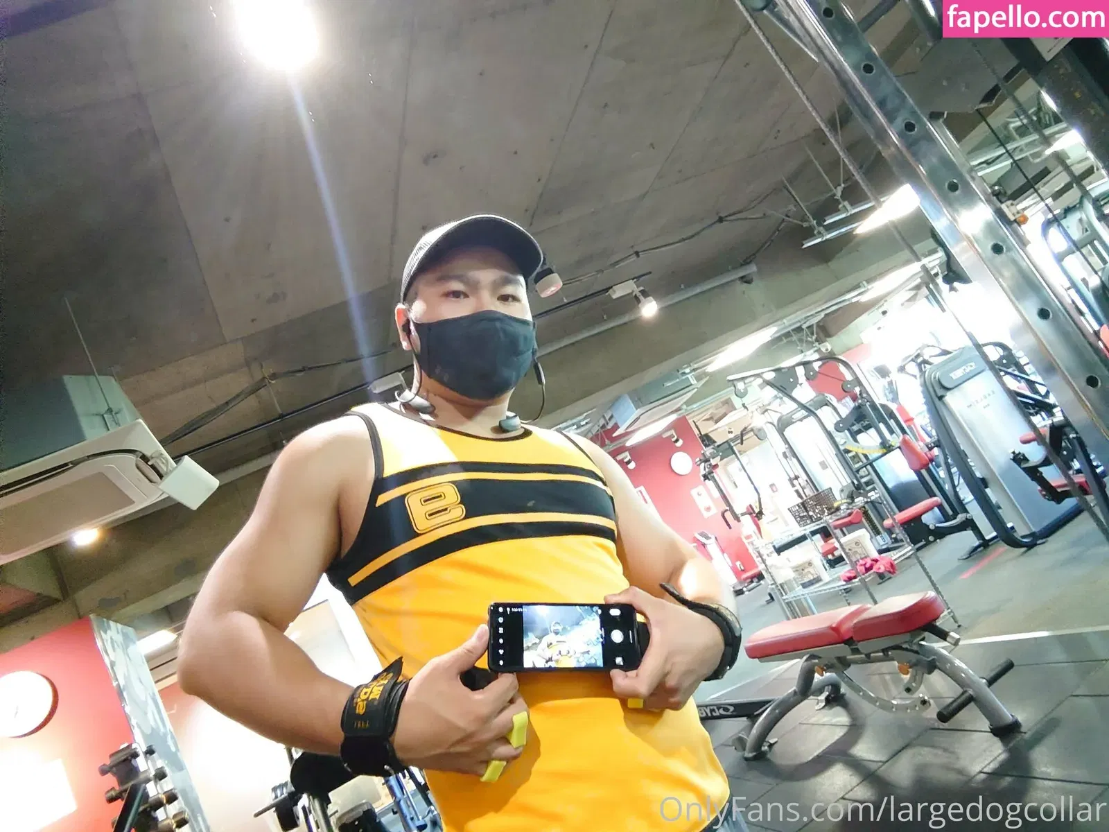 largedogcollar Onlyfans Photo Gallery 