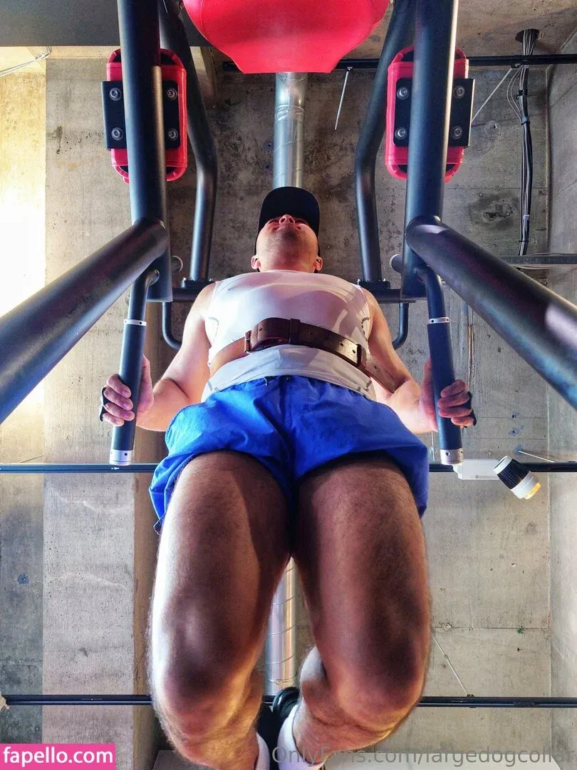 largedogcollar Onlyfans Photo Gallery 