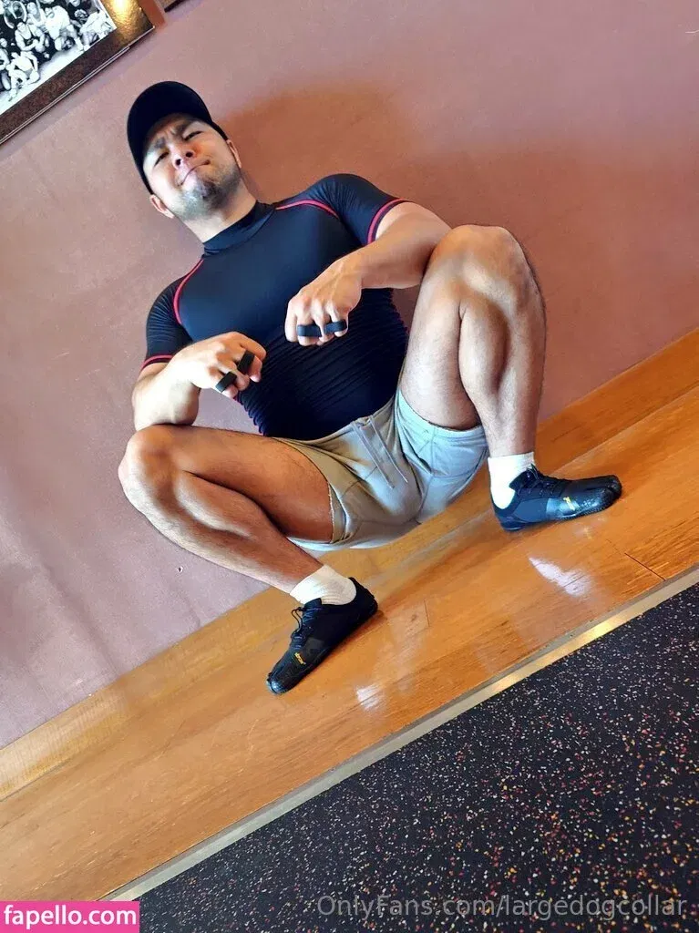 largedogcollar Onlyfans Photo Gallery 