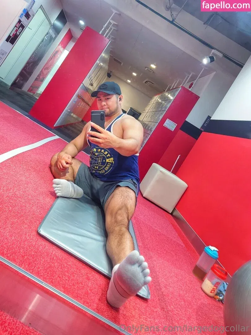 largedogcollar Onlyfans Photo Gallery 