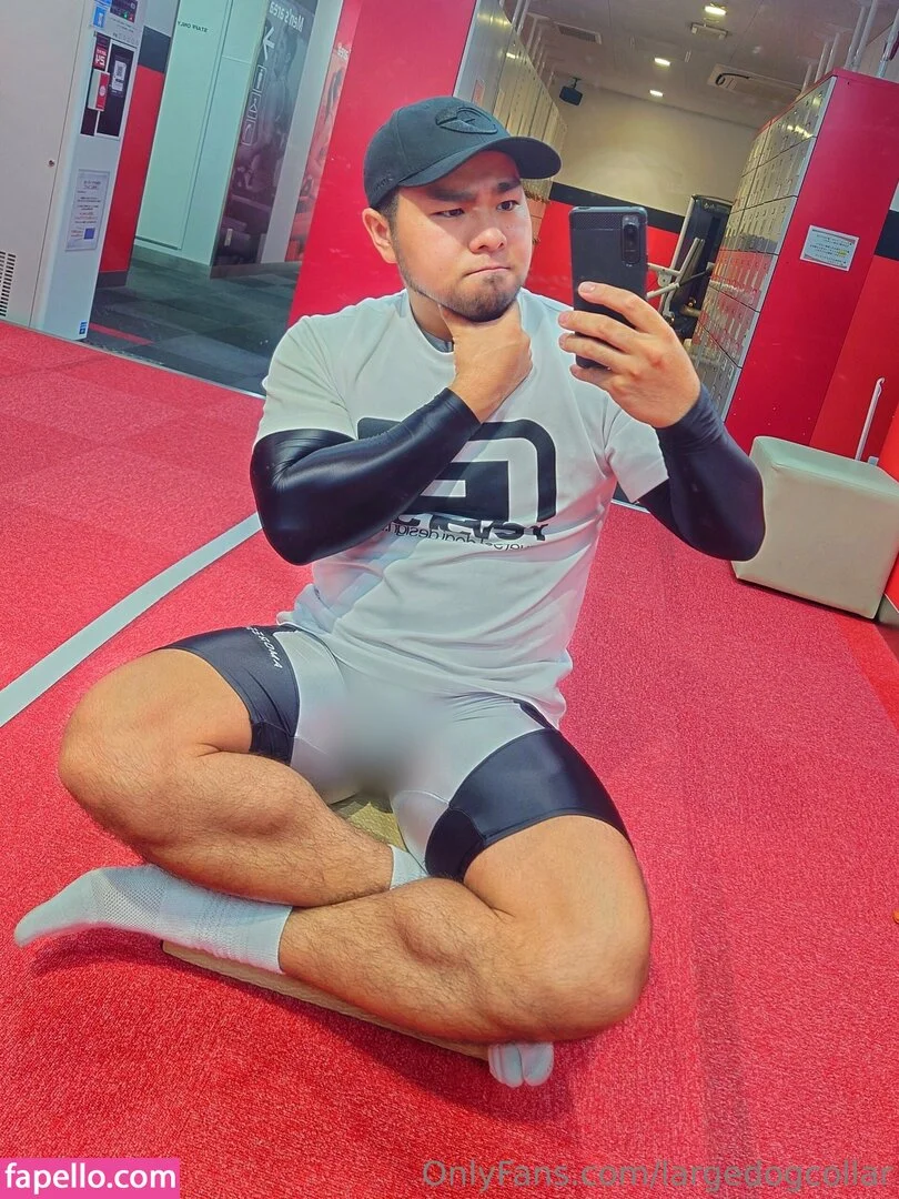 largedogcollar Onlyfans Photo Gallery 