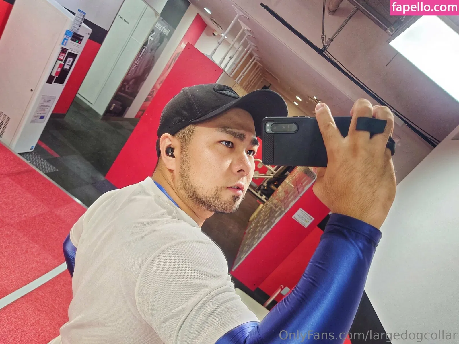 largedogcollar Onlyfans Photo Gallery 