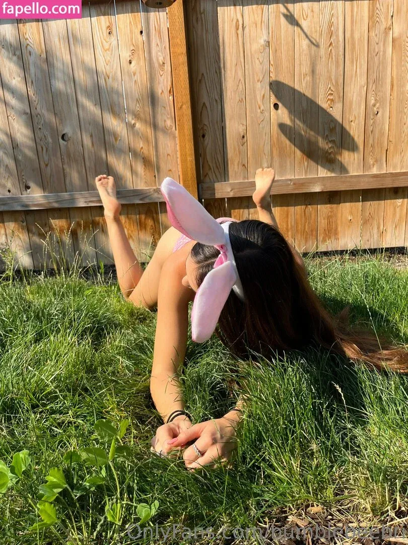 bumblebeebri Onlyfans Photo Gallery 