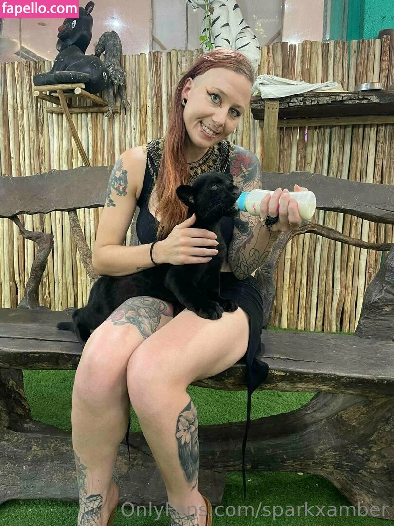 sparkxamber Onlyfans Photo Gallery 