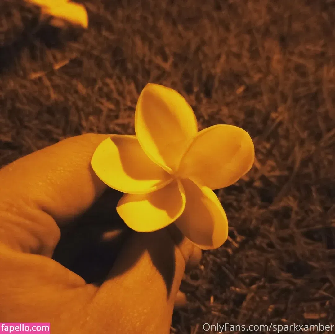 sparkxamber Onlyfans Photo Gallery 