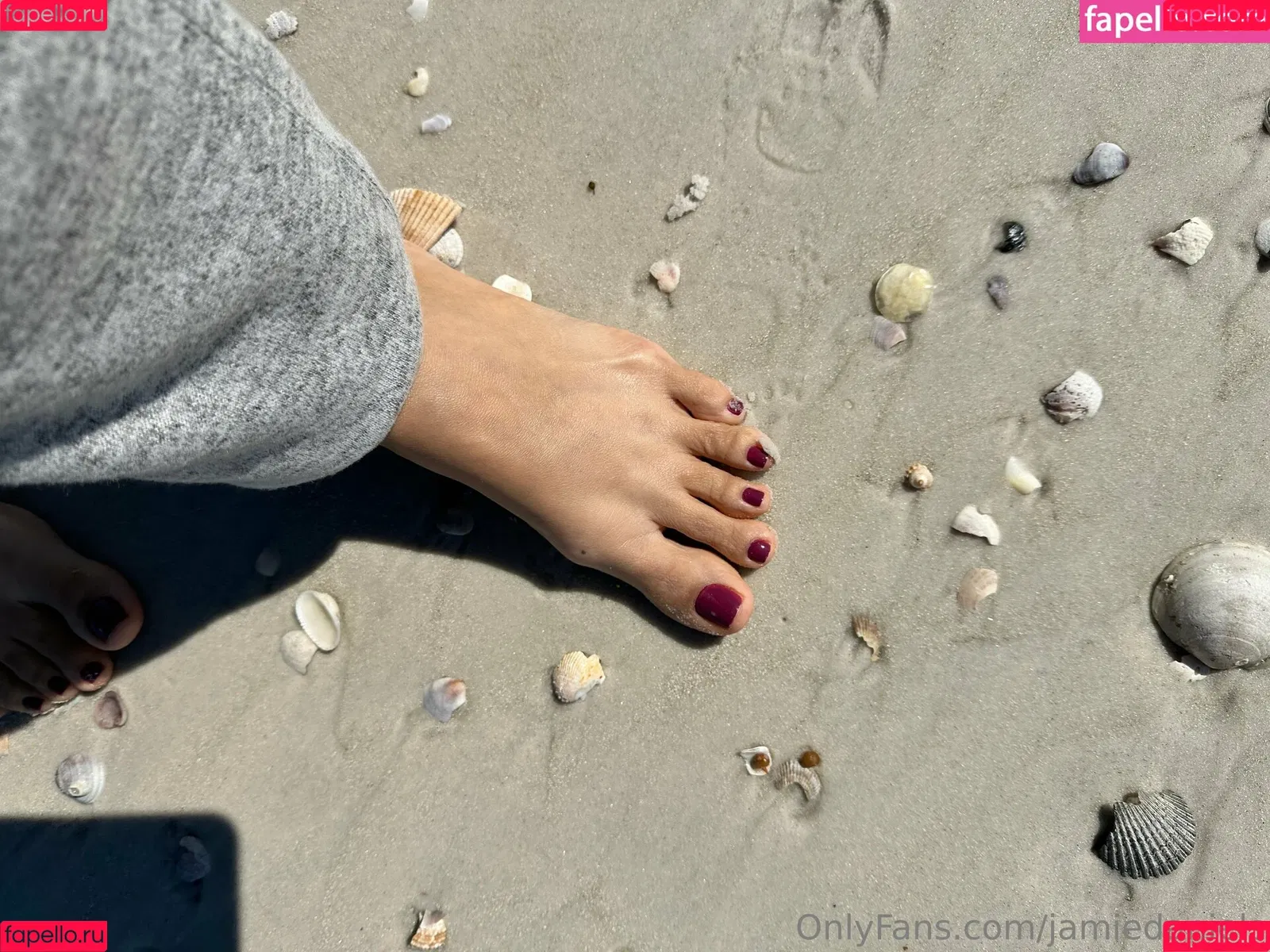 jamiedaniels Onlyfans Photo Gallery 