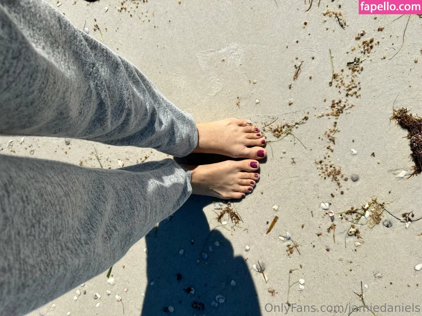 jamiedaniels Onlyfans Photo Gallery 