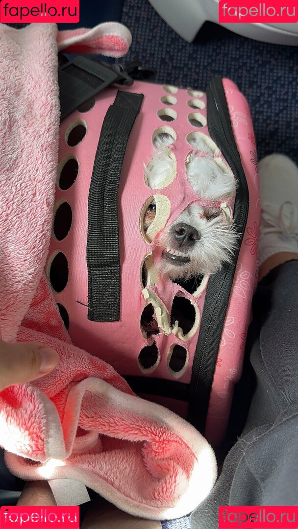 Bar Elias Onlyfans Photo Gallery 