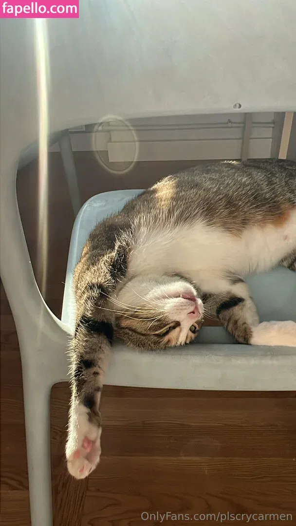 plscrycarmen Onlyfans Photo Gallery 