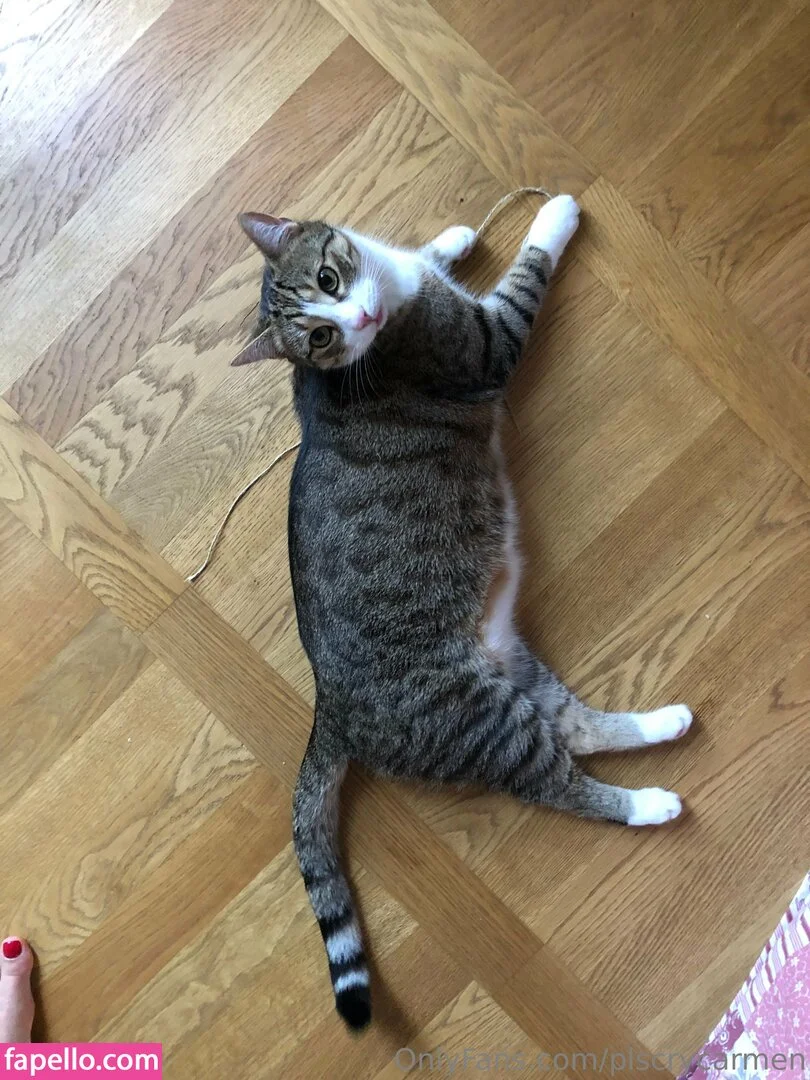 plscrycarmen Onlyfans Photo Gallery 