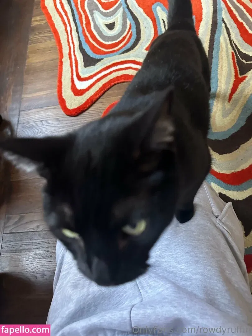 Rowdyruffin Onlyfans Photo Gallery 