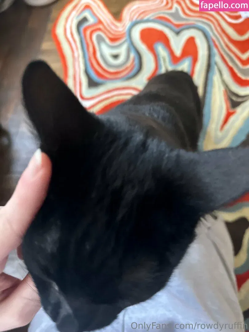 Rowdyruffin Onlyfans Photo Gallery 