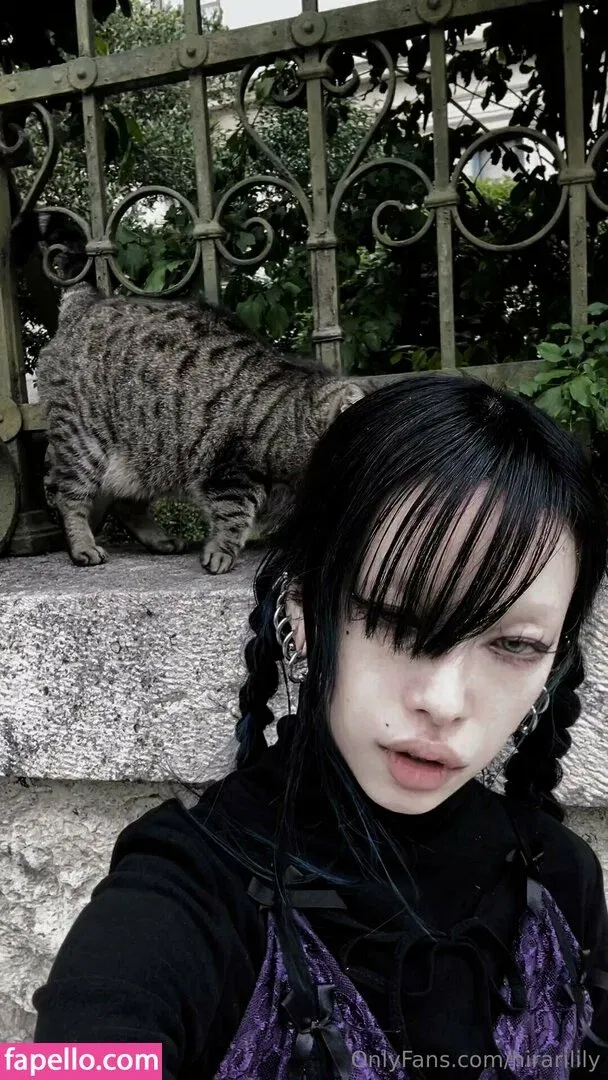 hirarilily Onlyfans Photo Gallery 