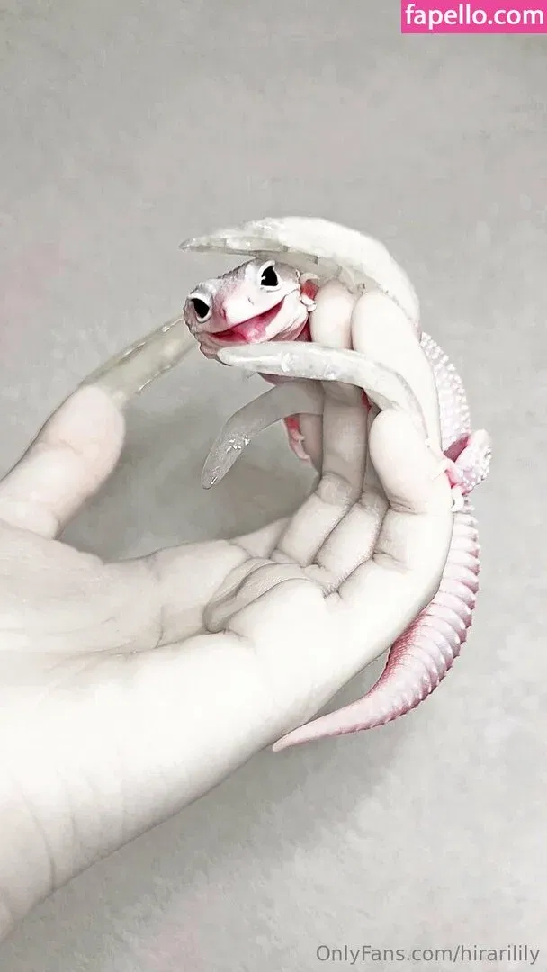 hirarilily Onlyfans Photo Gallery 