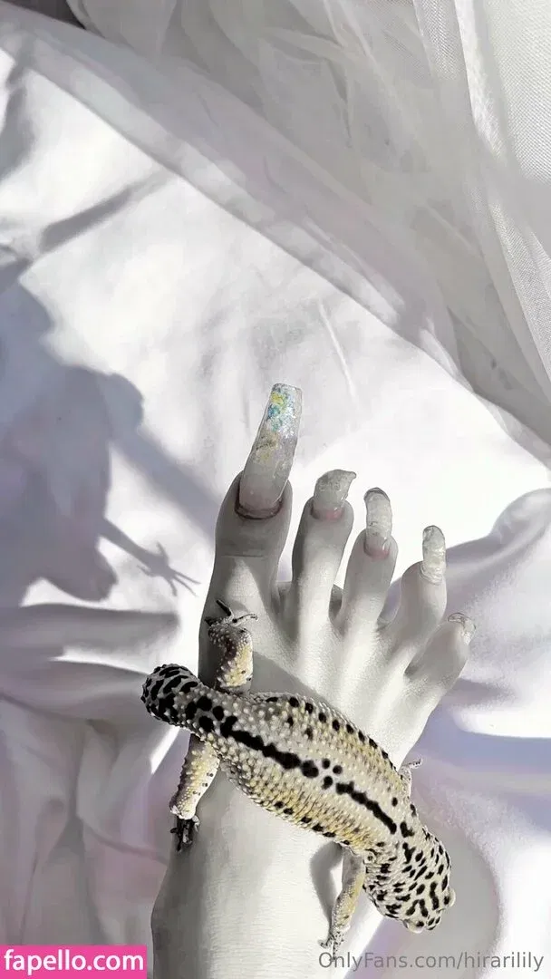 hirarilily Onlyfans Photo Gallery 