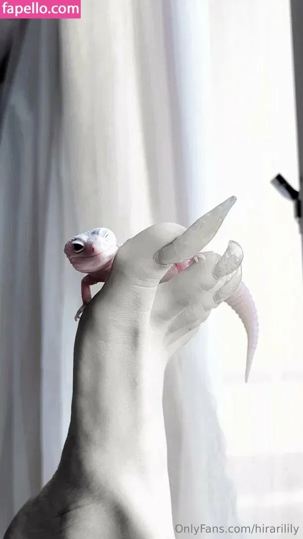 hirarilily Onlyfans Photo Gallery 