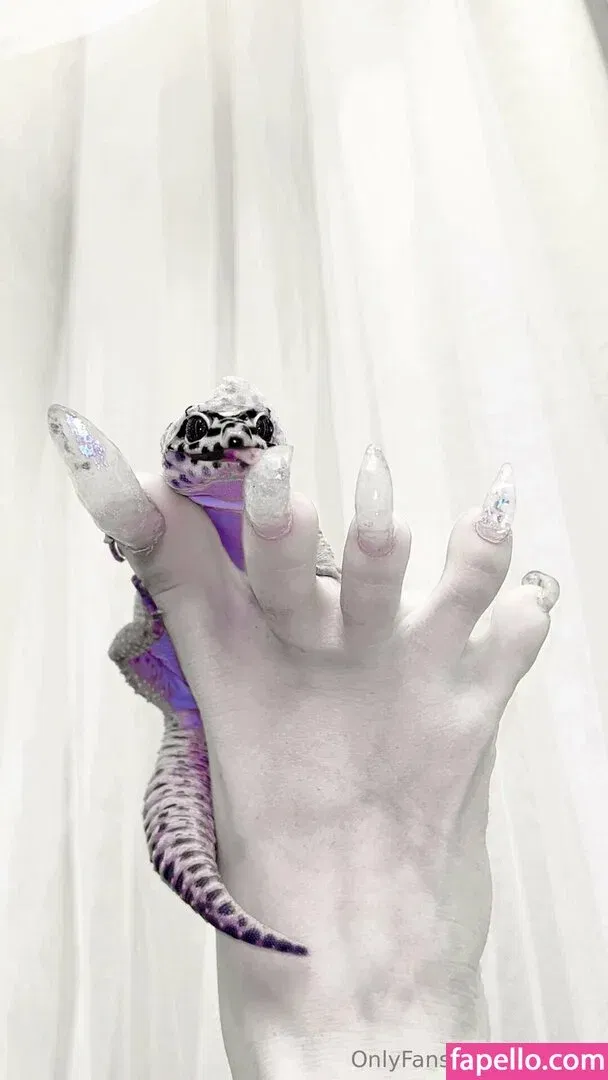 hirarilily Onlyfans Photo Gallery 