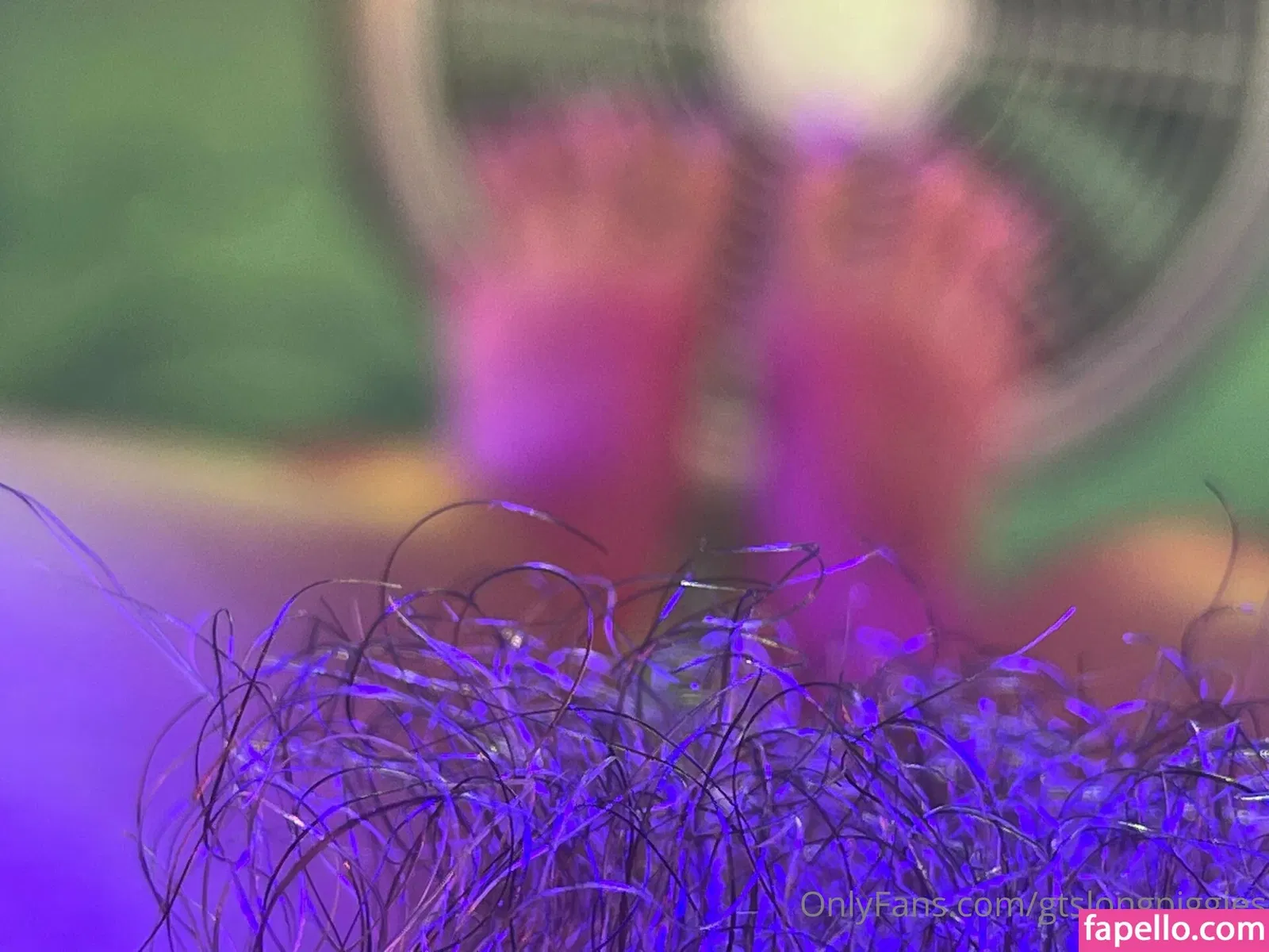 gtslongpiggies Onlyfans Photo Gallery 