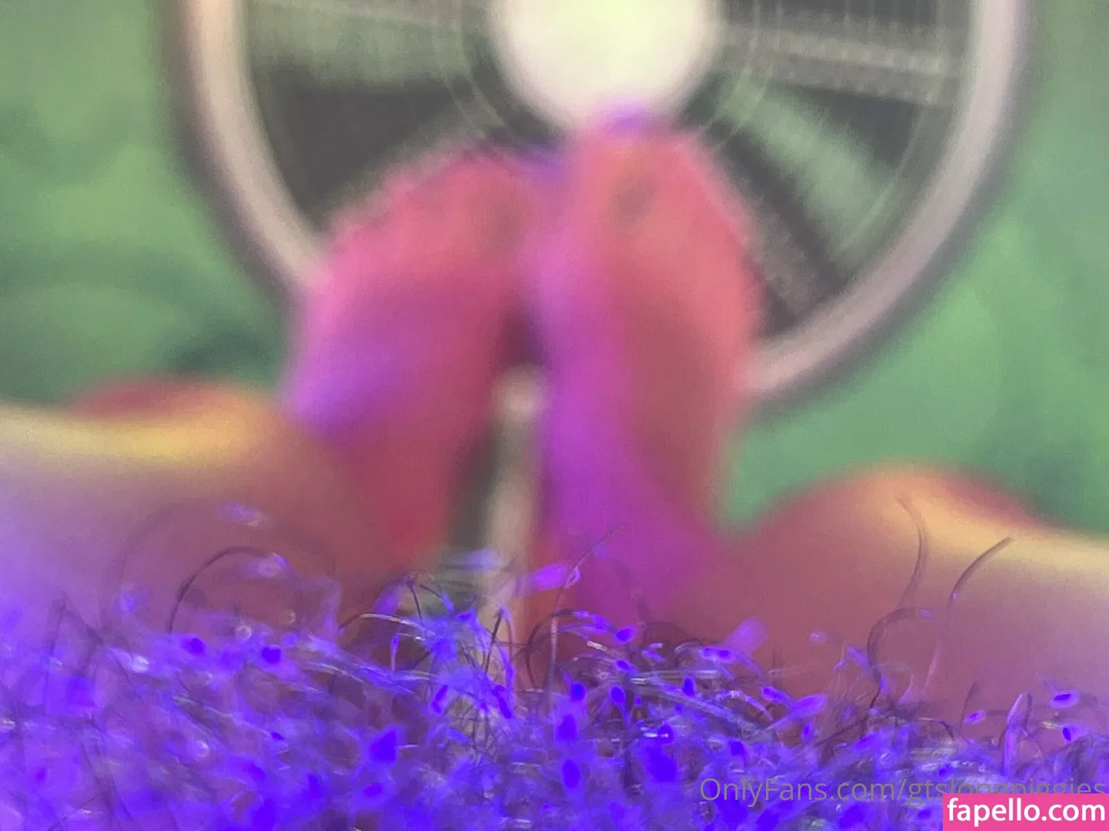 gtslongpiggies Onlyfans Photo Gallery 