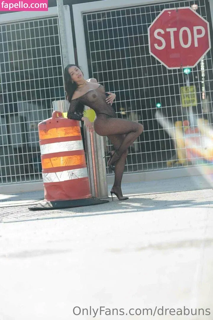 dreabuns Onlyfans Photo Gallery 