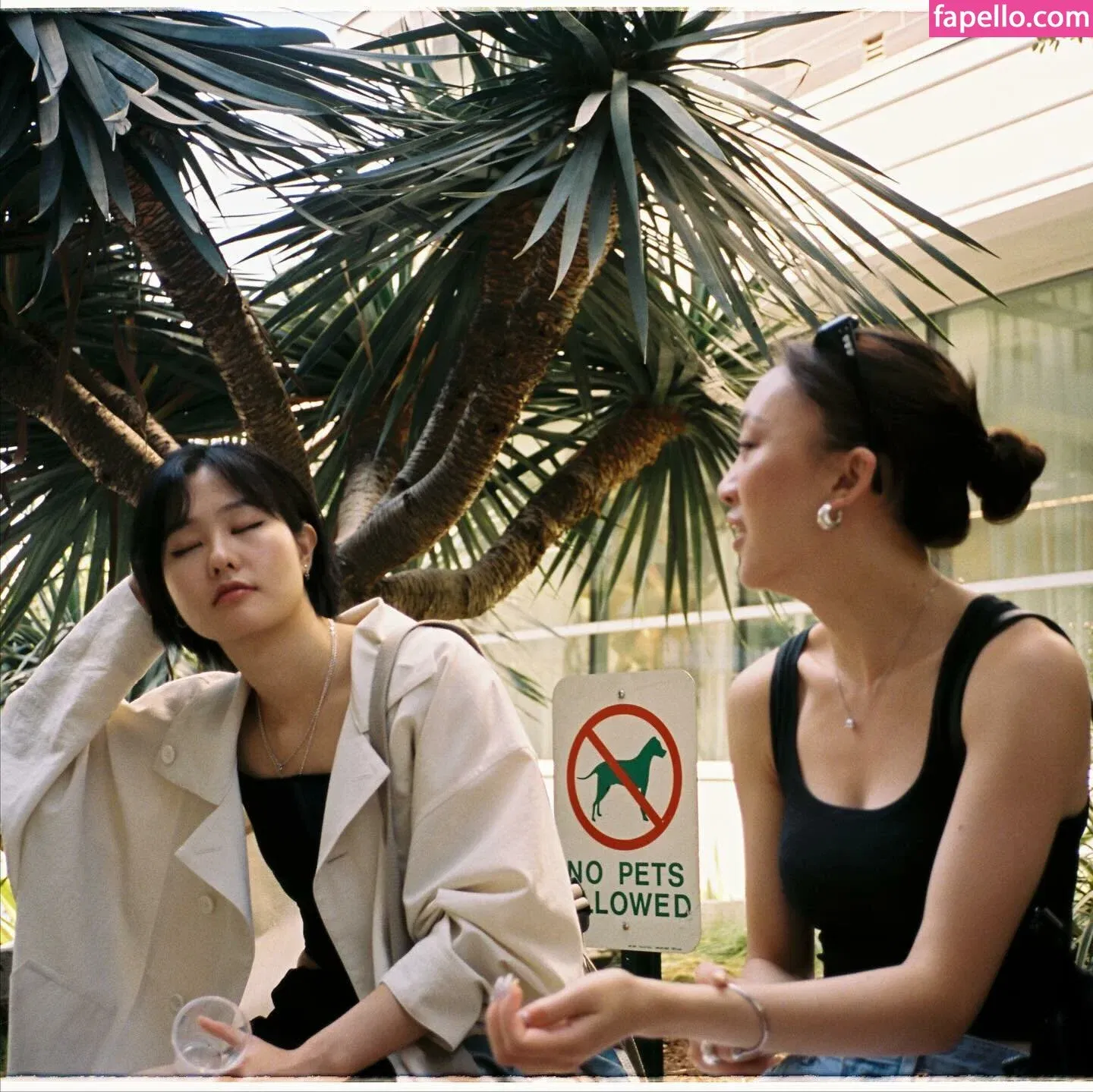 39daph Onlyfans Photo Gallery 