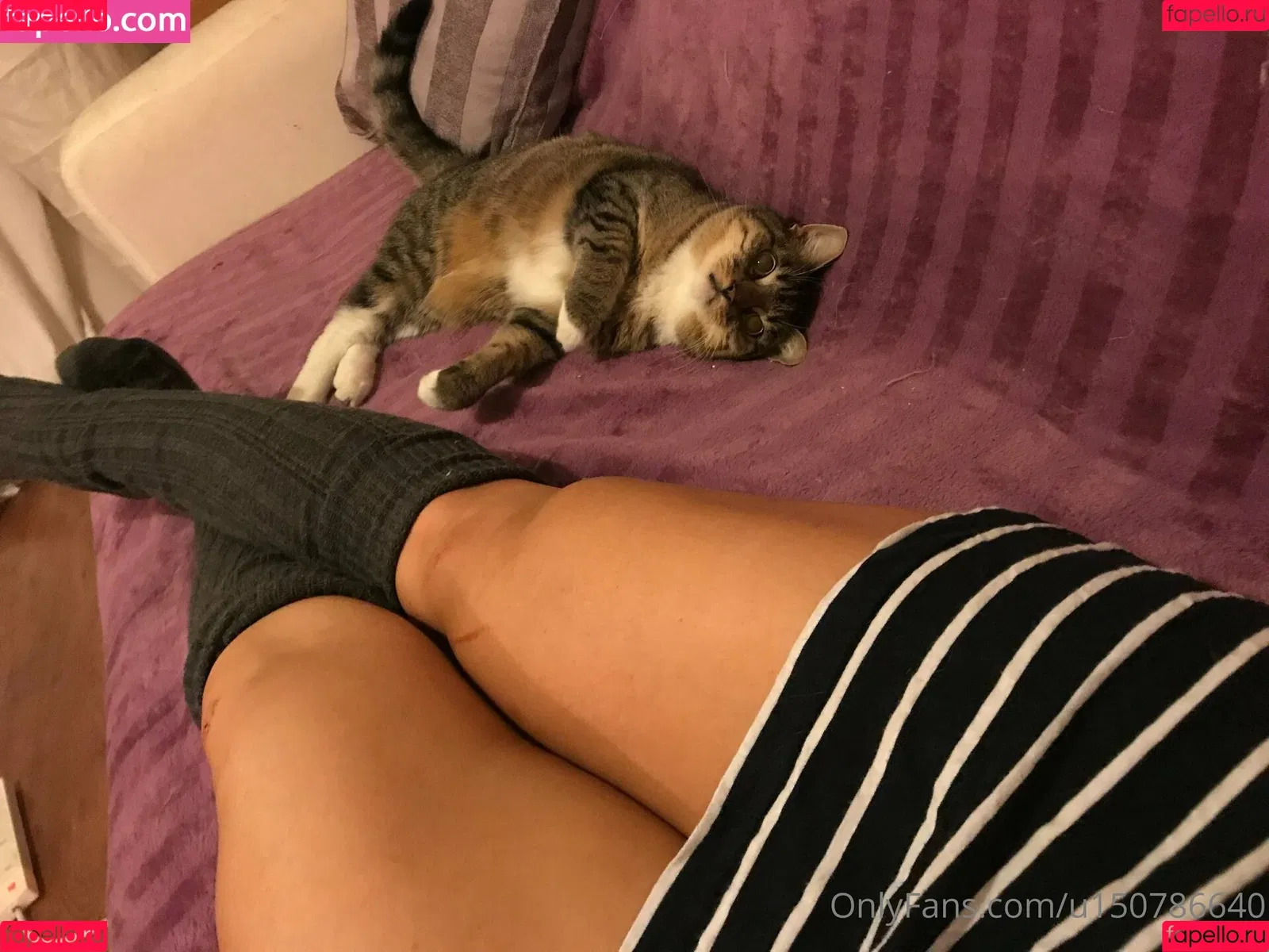 littlegreenghoul Onlyfans Photo Gallery 