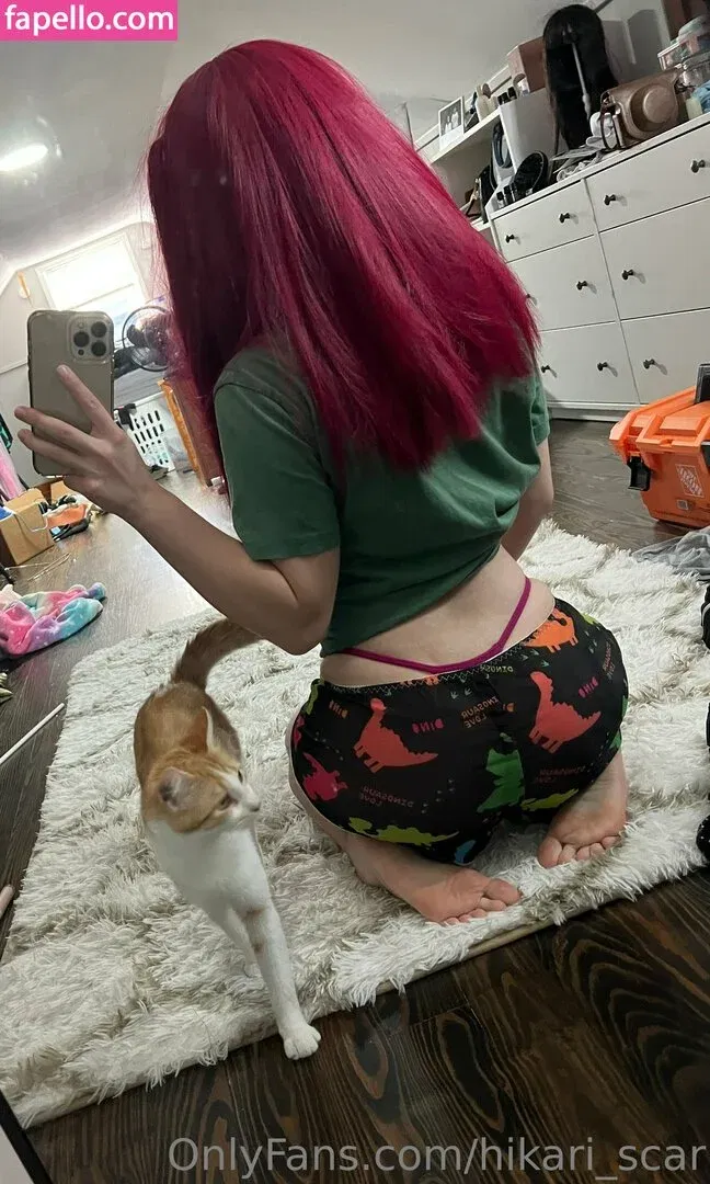 hikari_scar Onlyfans Photo Gallery 