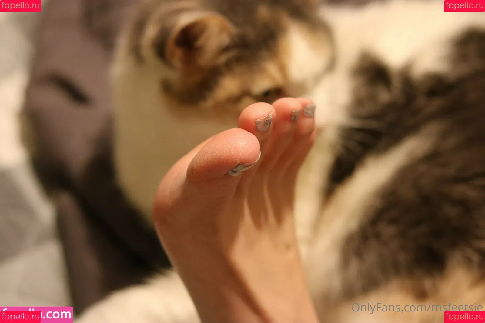 msfeetsie Onlyfans Photo Gallery 
