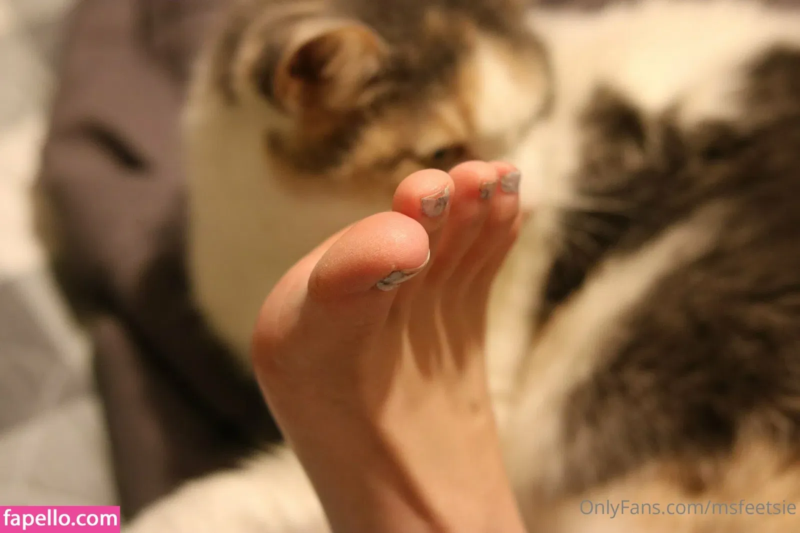 msfeetsie Onlyfans Photo Gallery 