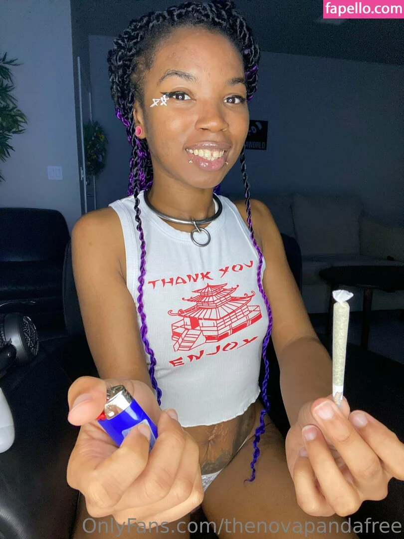 thenovapandafree Onlyfans Photo Gallery 