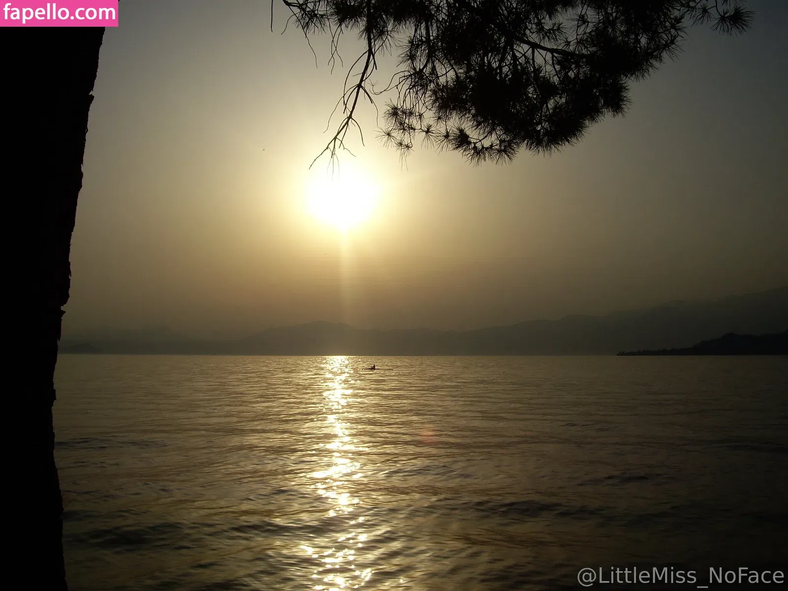 littlemiss_noface Onlyfans Photo Gallery 