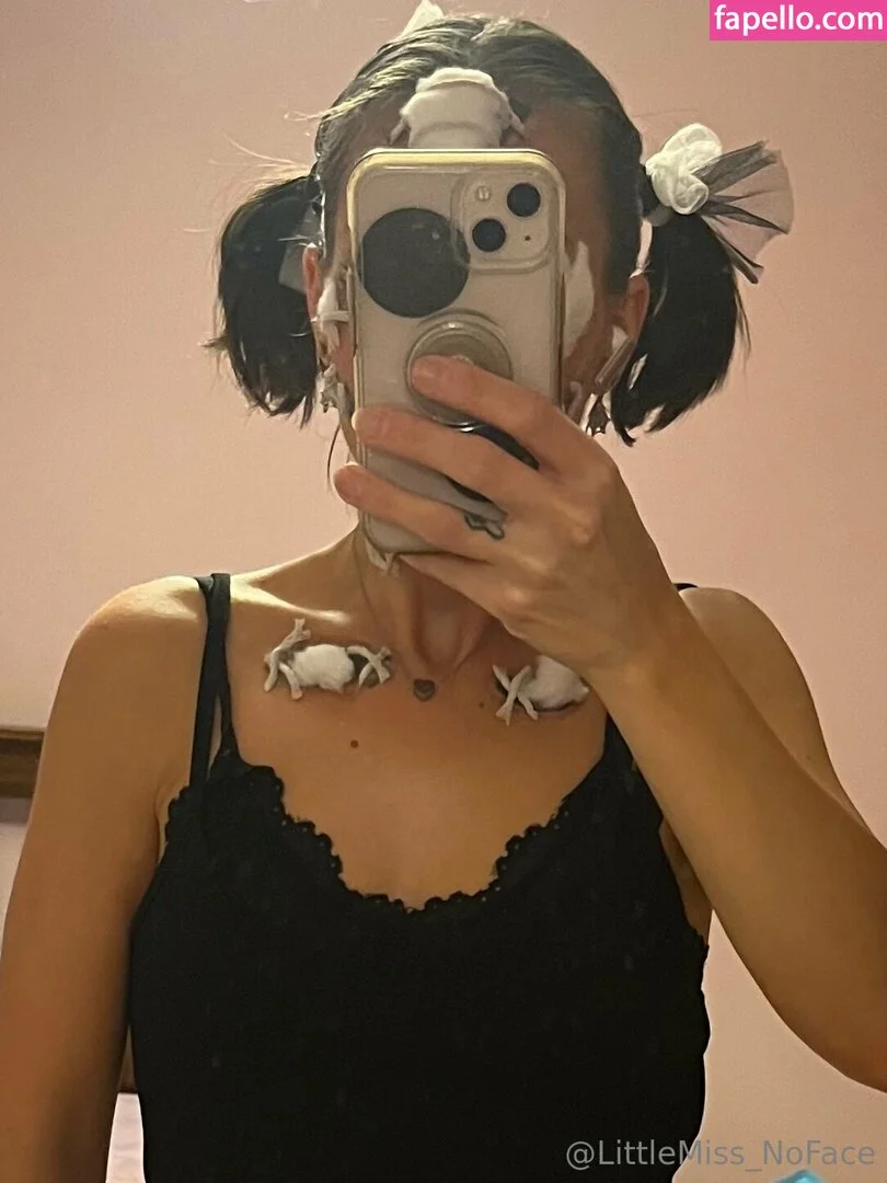 littlemiss_noface Onlyfans Photo Gallery 